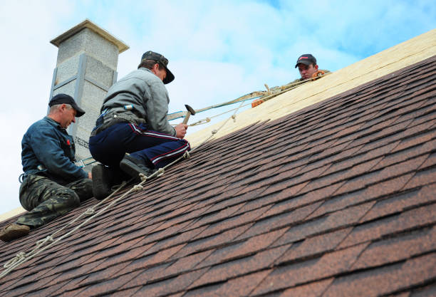 Best Metal Roofing Contractor  in Farmington, UT